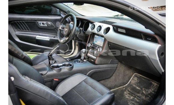 Buy Import Ford Mustang White Car in Import - Dubai in Abhasia Buy Import Ford Mustang White Car in Import - Dubai in Abhasia