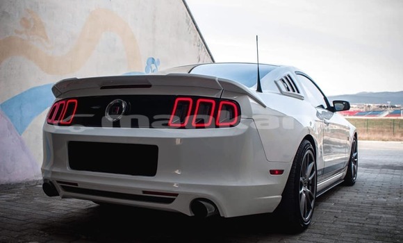 Buy Used Ford Mustang White Car in Tbilisi in Tbilisi Buy Used Ford Mustang White Car in Tbilisi in Tbilisi