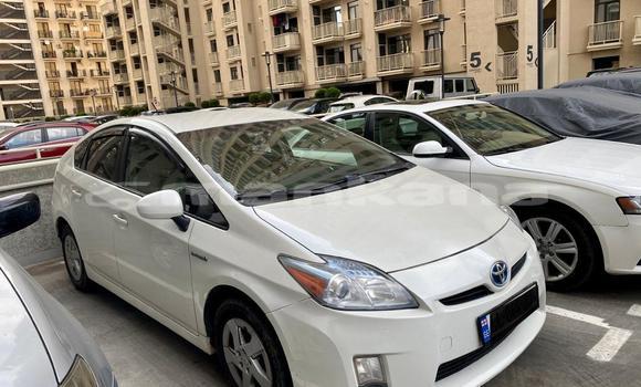Buy Used Toyota Prius White Car in Tbilisi in Tbilisi Buy Used Toyota Prius White Car in Tbilisi in Tbilisi