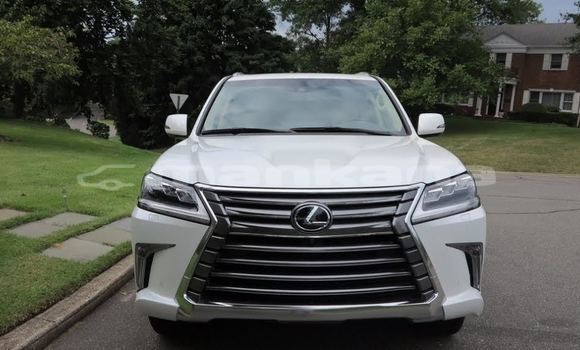 Buy Used Lexus LX 570 White Car in Ahalcihe in Samche-Zhavaheti