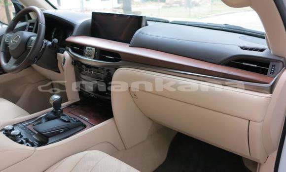 Buy Used Lexus LX 570 White Car in Ahalcihe in Samche-Zhavaheti Buy Used Lexus LX 570 White Car in Ahalcihe in Samche-Zhavaheti