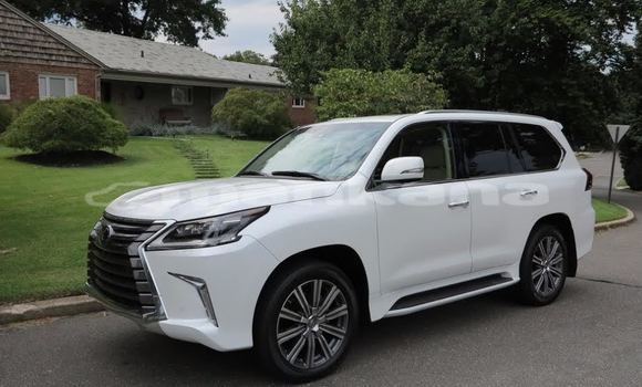 Buy Used Lexus LX 570 White Car in Ahalcihe in Samche-Zhavaheti Buy Used Lexus LX 570 White Car in Ahalcihe in Samche-Zhavaheti