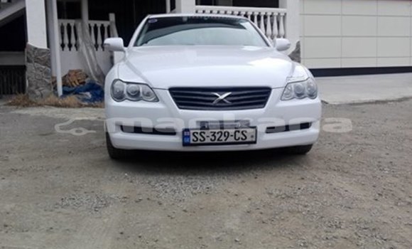 Buy Used Toyota Mark X White Car in Tbilisi in Tbilisi Buy Used Toyota Mark X White Car in Tbilisi in Tbilisi