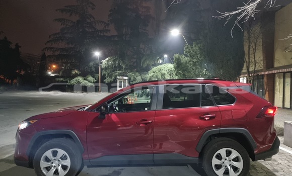 Buy Used Toyota RAV4 Red Car in Tbilisi in Tbilisi Buy Used Toyota RAV4 Red Car in Tbilisi in Tbilisi