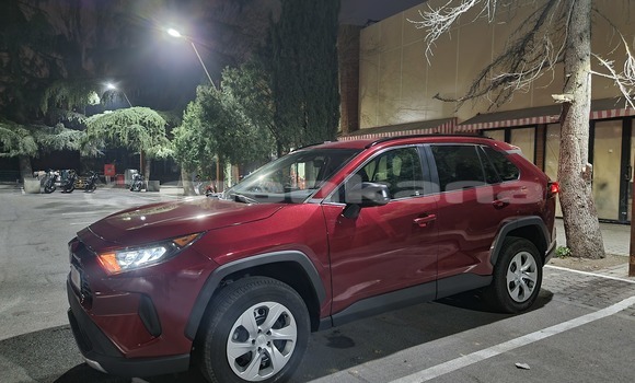 Buy Used Toyota RAV4 Red Car in Tbilisi in Tbilisi Buy Used Toyota RAV4 Red Car in Tbilisi in Tbilisi