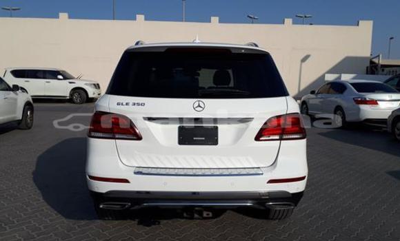 Buy Used Mercedes-Benz GLE White Car in Ambrolauri in Racha Buy Used Mercedes-Benz GLE White Car in Ambrolauri in Racha
