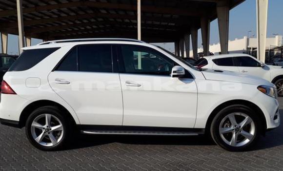 Buy Used Mercedes-Benz GLE White Car in Bagdadi in Imereti Buy Used Mercedes-Benz GLE White Car in Bagdadi in Imereti