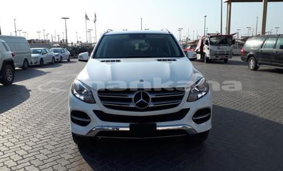 Buy Used Mercedes-Benz GLE White Car in Borzhomi in Samche-Zhavaheti Buy Used Mercedes-Benz GLE White Car in Borzhomi in Samche-Zhavaheti