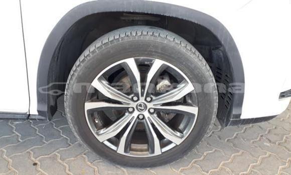 Buy Used Lexus RX 350 White Car in Ambrolauri in Racha Buy Used Lexus RX 350 White Car in Ambrolauri in Racha