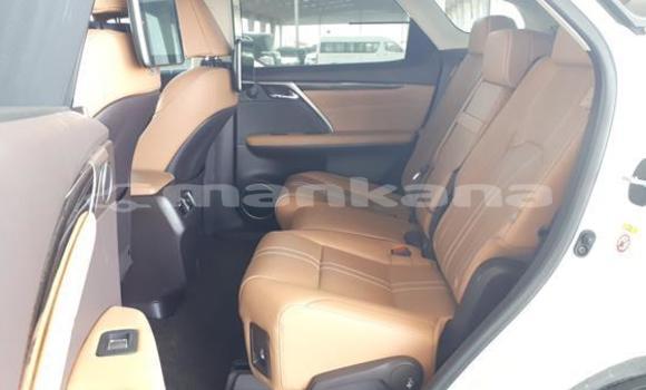 Buy Used Lexus RX 350 White Car in Ambrolauri in Racha Buy Used Lexus RX 350 White Car in Ambrolauri in Racha