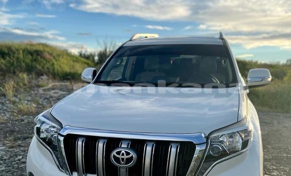 Buy Used Toyota Land Cruiser Prado White Car in Tbilisi in Tbilisi