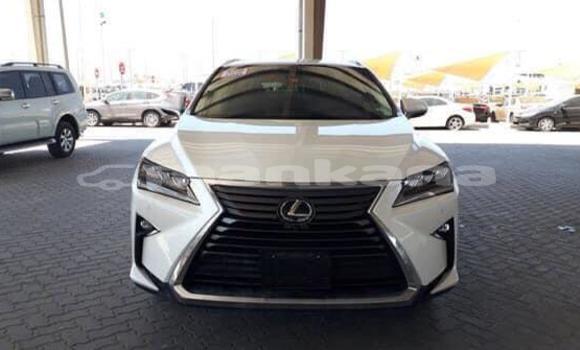 Buy Used Lexus RX 350 White Car in Bagdadi in Imereti