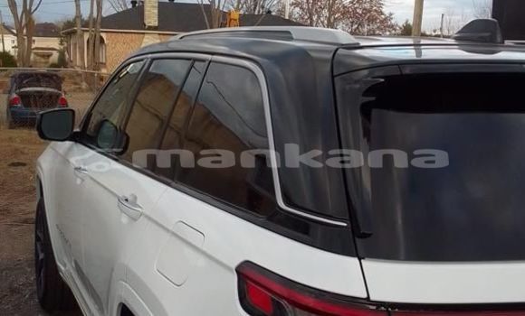 Buy New Jeep Grand Cherokee White Car in Batumi in Ajaria Buy New Jeep Grand Cherokee White Car in Batumi in Ajaria