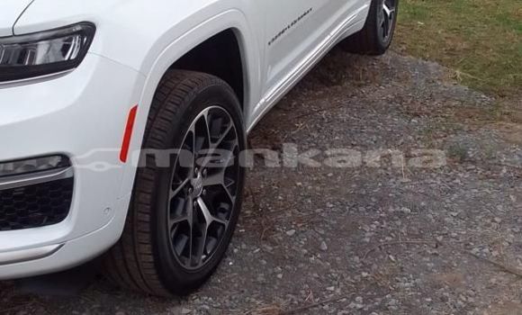 Buy New Jeep Grand Cherokee White Car in Batumi in Ajaria Buy New Jeep Grand Cherokee White Car in Batumi in Ajaria