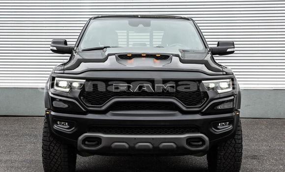 Buy New Dodge RAM Black Car in Batumi in Ajaria