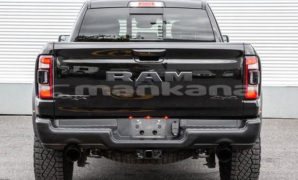 Buy New Dodge RAM Black Car in Batumi in Ajaria Buy New Dodge RAM Black Car in Batumi in Ajaria
