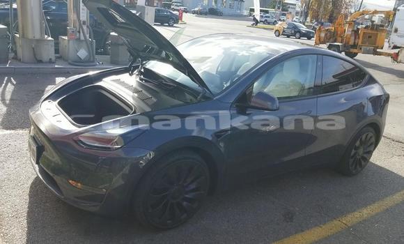 Buy New Tesla Roadster Black Car in Batumi in Ajaria Buy New Tesla Roadster Black Car in Batumi in Ajaria