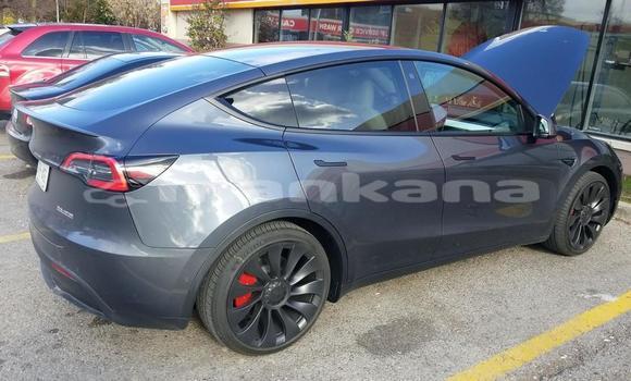 Buy New Tesla Roadster Black Car in Batumi in Ajaria Buy New Tesla Roadster Black Car in Batumi in Ajaria