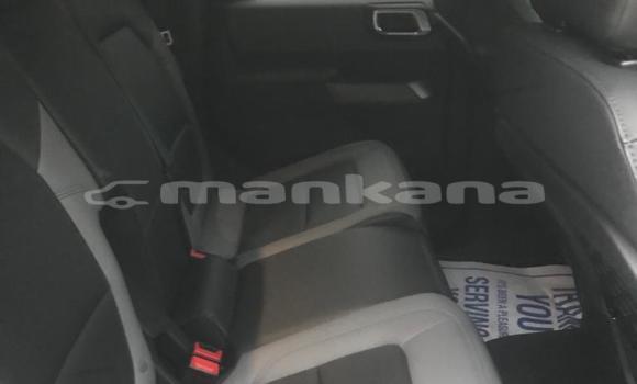 Buy Used Ford Bronco Green Car in Batumi in Ajaria Buy Used Ford Bronco Green Car in Batumi in Ajaria