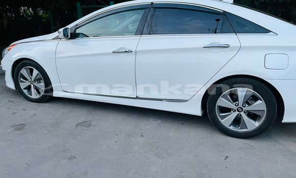 Buy Used Hyundai Sonata White Car in Tbilisi in Tbilisi Buy Used Hyundai Sonata White Car in Tbilisi in Tbilisi