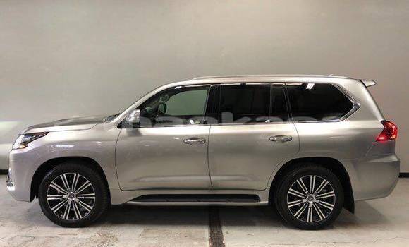 Buy Used Lexus LX 570 Brown Car in Ahmeta in Kaheti