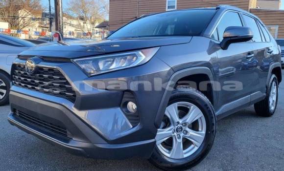 Buy Used Toyota RAV4 Other Car in Tkibuli in Imereti Buy Used Toyota RAV4 Other Car in Tkibuli in Imereti