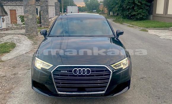 Buy Used Audi A3 Black Car in Tbilisi in Tbilisi