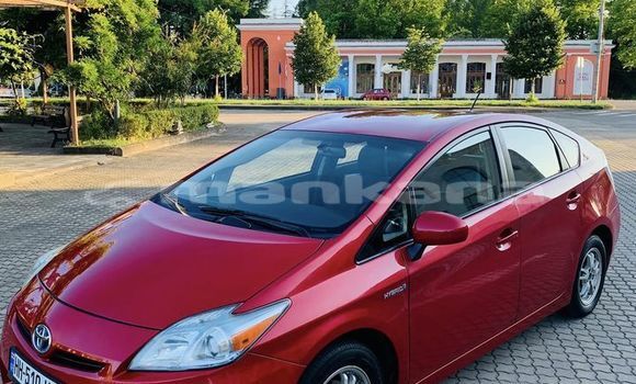 Buy Used Honda Accord Red Car in Tbilisi in Tbilisi