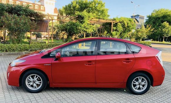 Buy Used Honda Accord Red Car in Tbilisi in Tbilisi Buy Used Honda Accord Red Car in Tbilisi in Tbilisi