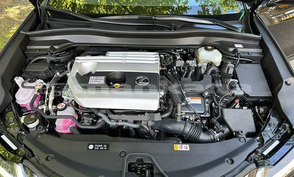 Buy Used Lexus UX Black Car in Tbilisi in Tbilisi Buy Used Lexus UX Black Car in Tbilisi in Tbilisi