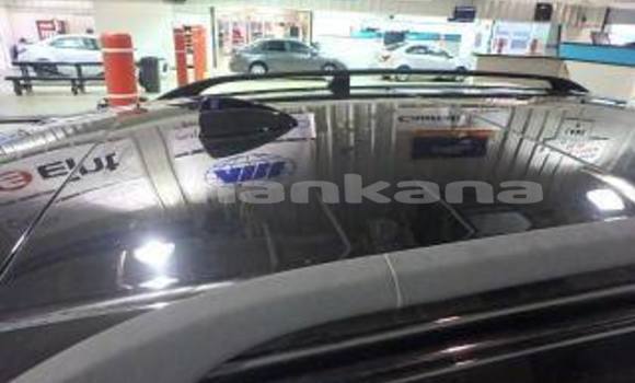 Buy Used BMW X5 Black Car in Tbilisi in Tbilisi Buy Used BMW X5 Black Car in Tbilisi in Tbilisi