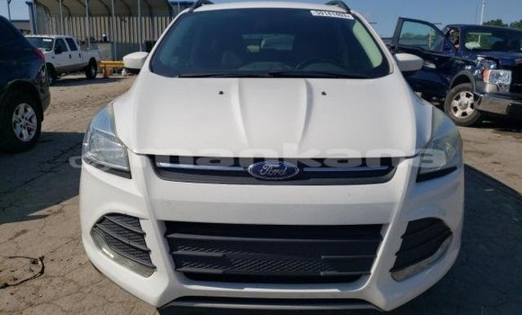 Buy Used Ford Escape White Car in Tbilisi in Tbilisi