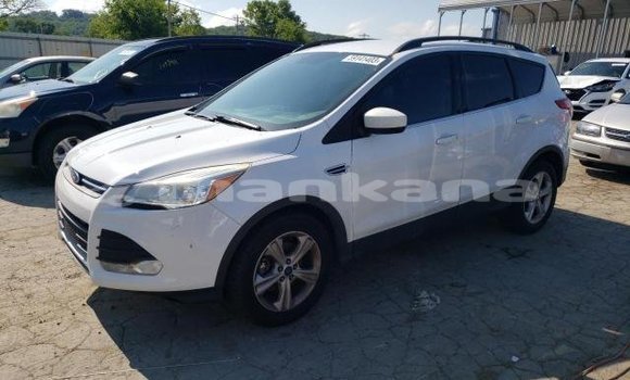 Buy Used Ford Escape White Car in Tbilisi in Tbilisi Buy Used Ford Escape White Car in Tbilisi in Tbilisi