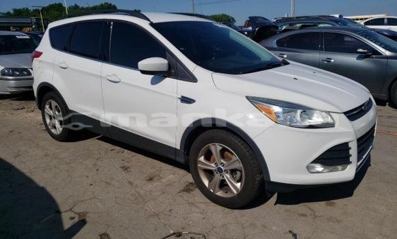 Buy Used Ford Escape White Car in Tbilisi in Tbilisi Buy Used Ford Escape White Car in Tbilisi in Tbilisi