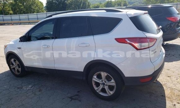 Buy Used Ford Escape White Car in Tbilisi in Tbilisi Buy Used Ford Escape White Car in Tbilisi in Tbilisi