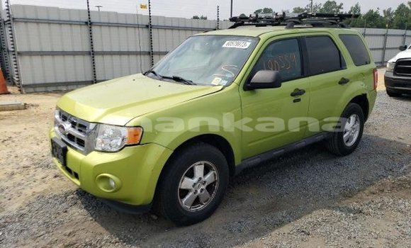 Buy Used Ford Escape Other Car in Tbilisi in Tbilisi Buy Used Ford Escape Other Car in Tbilisi in Tbilisi