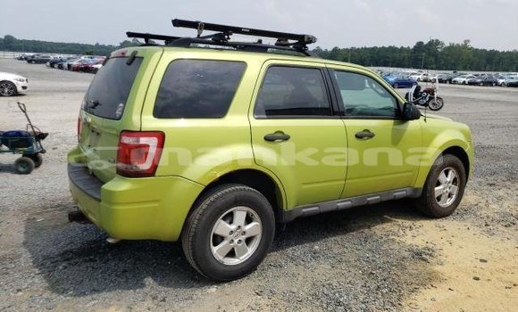 Buy Used Ford Escape Other Car in Tbilisi in Tbilisi Buy Used Ford Escape Other Car in Tbilisi in Tbilisi