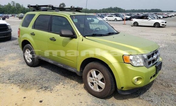 Buy Used Ford Escape Other Car in Tbilisi in Tbilisi Buy Used Ford Escape Other Car in Tbilisi in Tbilisi