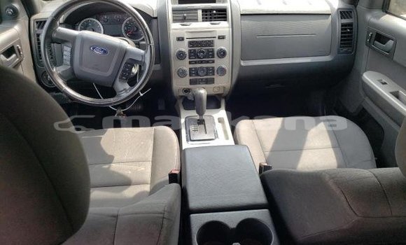 Buy Used Ford Escape Other Car in Tbilisi in Tbilisi Buy Used Ford Escape Other Car in Tbilisi in Tbilisi