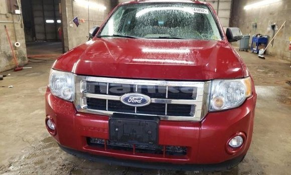 Buy Used Ford Escape Red Car in Tbilisi in Tbilisi Buy Used Ford Escape Red Car in Tbilisi in Tbilisi