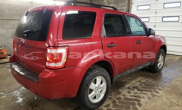 Buy Used Ford Escape Red Car in Tbilisi in Tbilisi Buy Used Ford Escape Red Car in Tbilisi in Tbilisi