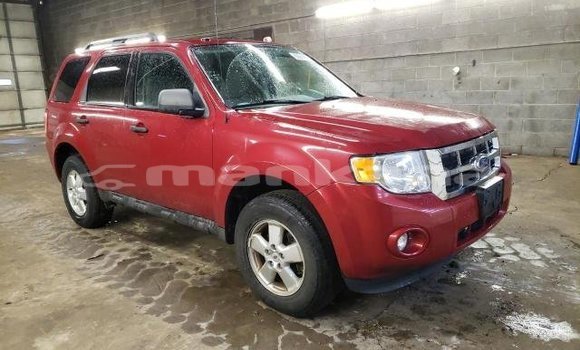 Buy Used Ford Escape Red Car in Tbilisi in Tbilisi Buy Used Ford Escape Red Car in Tbilisi in Tbilisi
