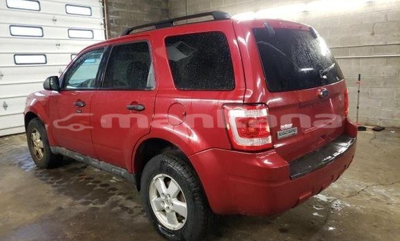 Buy Used Ford Escape Red Car in Tbilisi in Tbilisi Buy Used Ford Escape Red Car in Tbilisi in Tbilisi