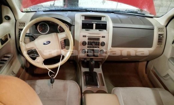 Buy Used Ford Escape Red Car in Tbilisi in Tbilisi Buy Used Ford Escape Red Car in Tbilisi in Tbilisi