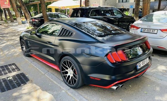Buy Used Ford Mustang Black Car in Tbilisi in Tbilisi Buy Used Ford Mustang Black Car in Tbilisi in Tbilisi