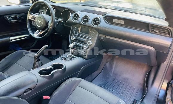 Buy Used Ford Mustang Black Car in Tbilisi in Tbilisi Buy Used Ford Mustang Black Car in Tbilisi in Tbilisi