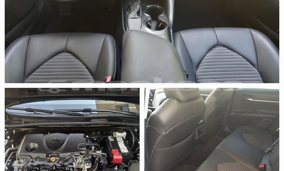 Buy Used Kia Sportage Black Car in Tbilisi in Tbilisi Buy Used Kia Sportage Black Car in Tbilisi in Tbilisi