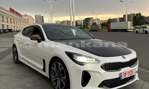 Buy Used Kia Stinger White Car in Tbilisi in Tbilisi Buy Used Kia Stinger White Car in Tbilisi in Tbilisi