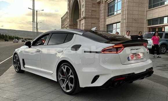 Buy Used Kia Stinger White Car in Tbilisi in Tbilisi Buy Used Kia Stinger White Car in Tbilisi in Tbilisi