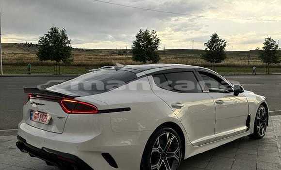 Buy Used Kia Stinger White Car in Tbilisi in Tbilisi Buy Used Kia Stinger White Car in Tbilisi in Tbilisi
